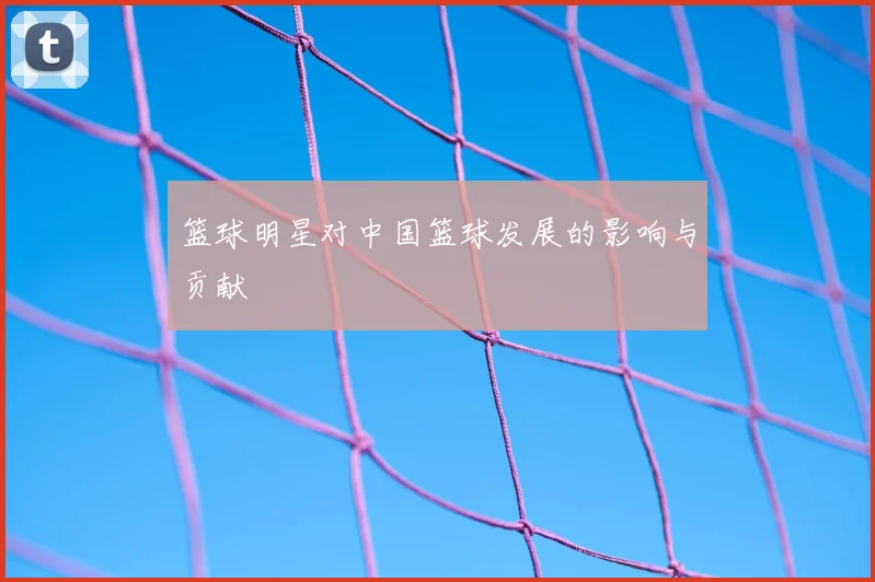 篮球明星对中国篮球发展的影响与贡献