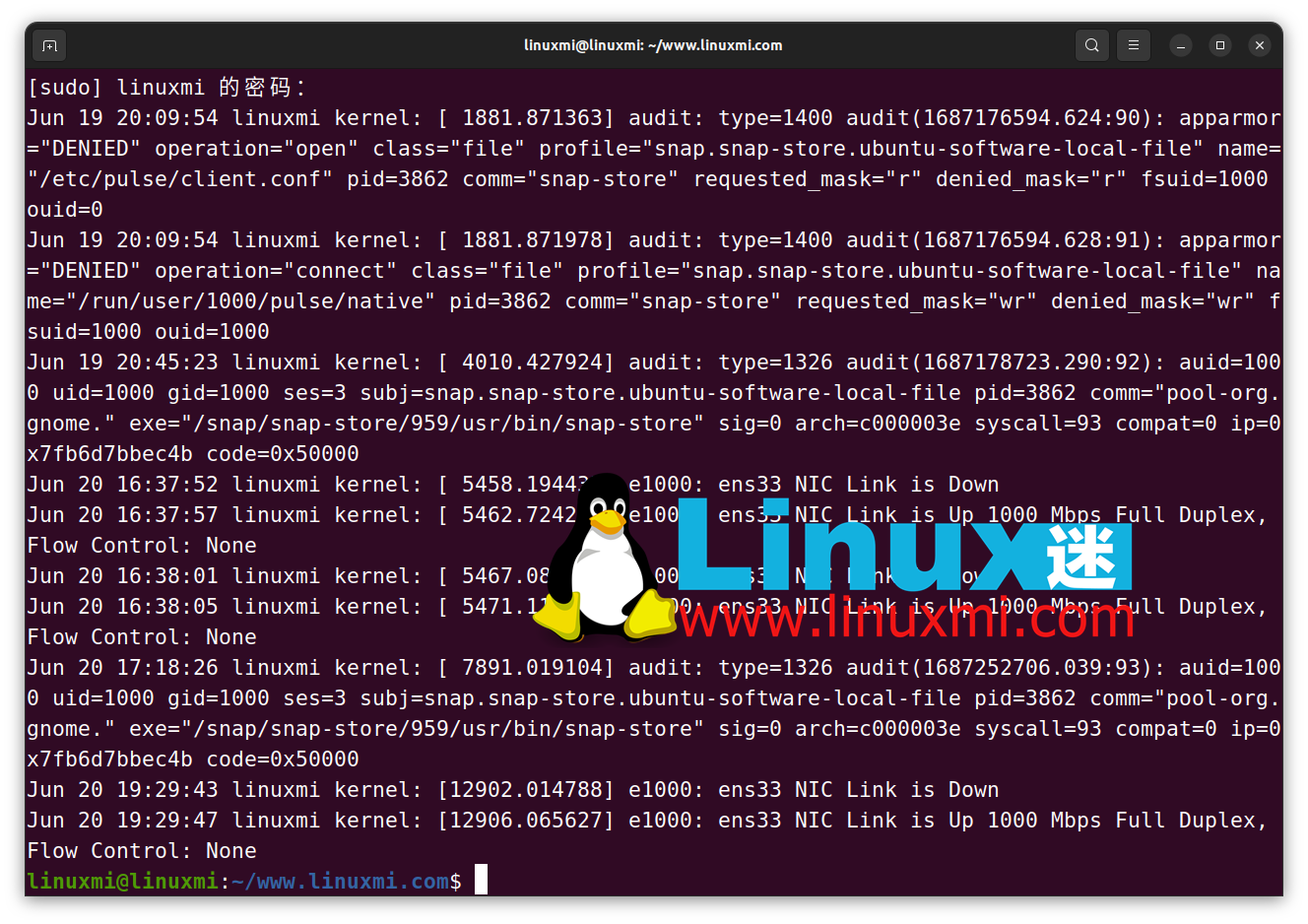 Ubuntu 错误日志：排除故障和诊断计算机问题的关键资源